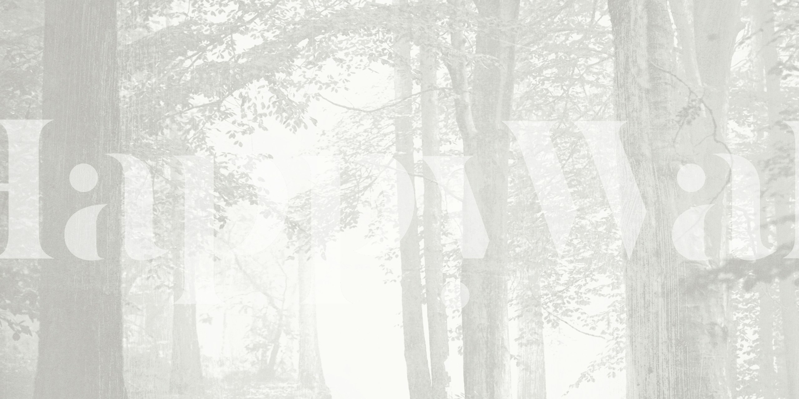 Serene Woodland Haze wallpaper in a room