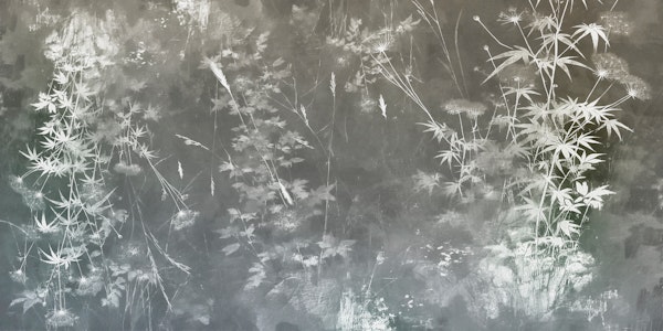 Enchanted Forest Canvas