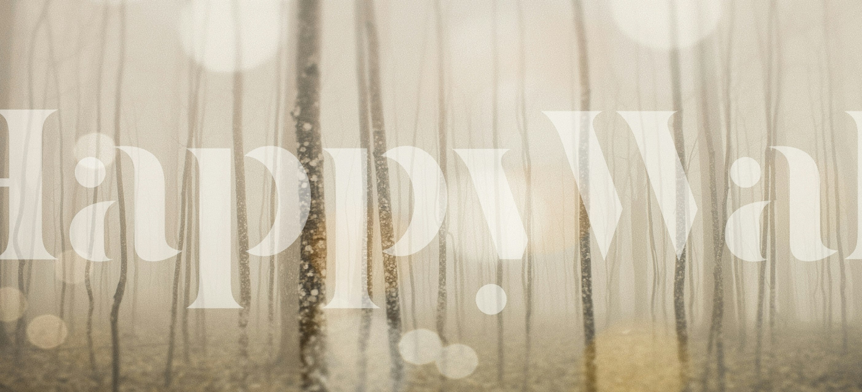 Ταπετσαρία Shimmering Forest Haze σε ένα δωμάτιο