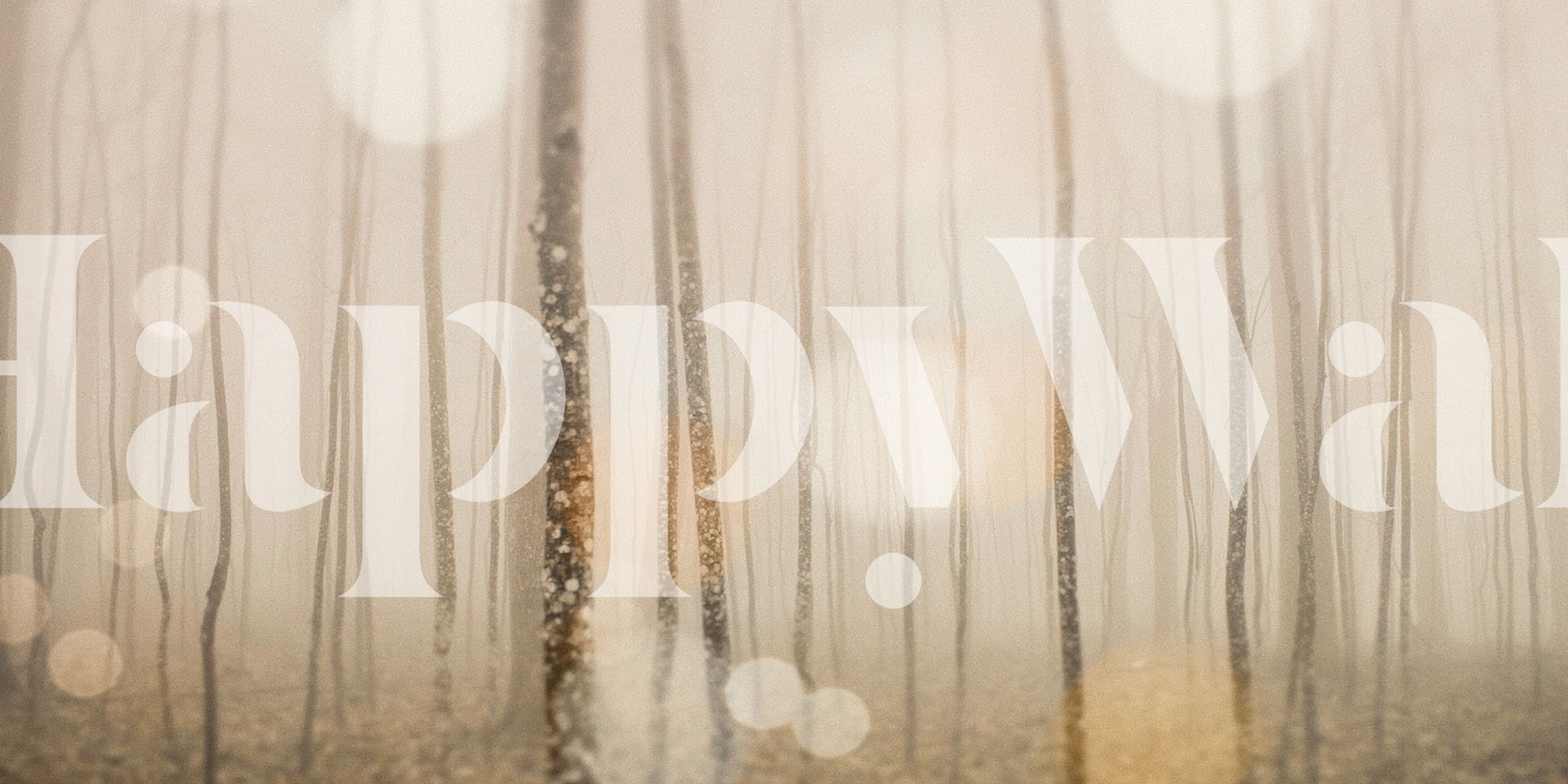 Zidna obloga Shimmering Forest Haze u sobi