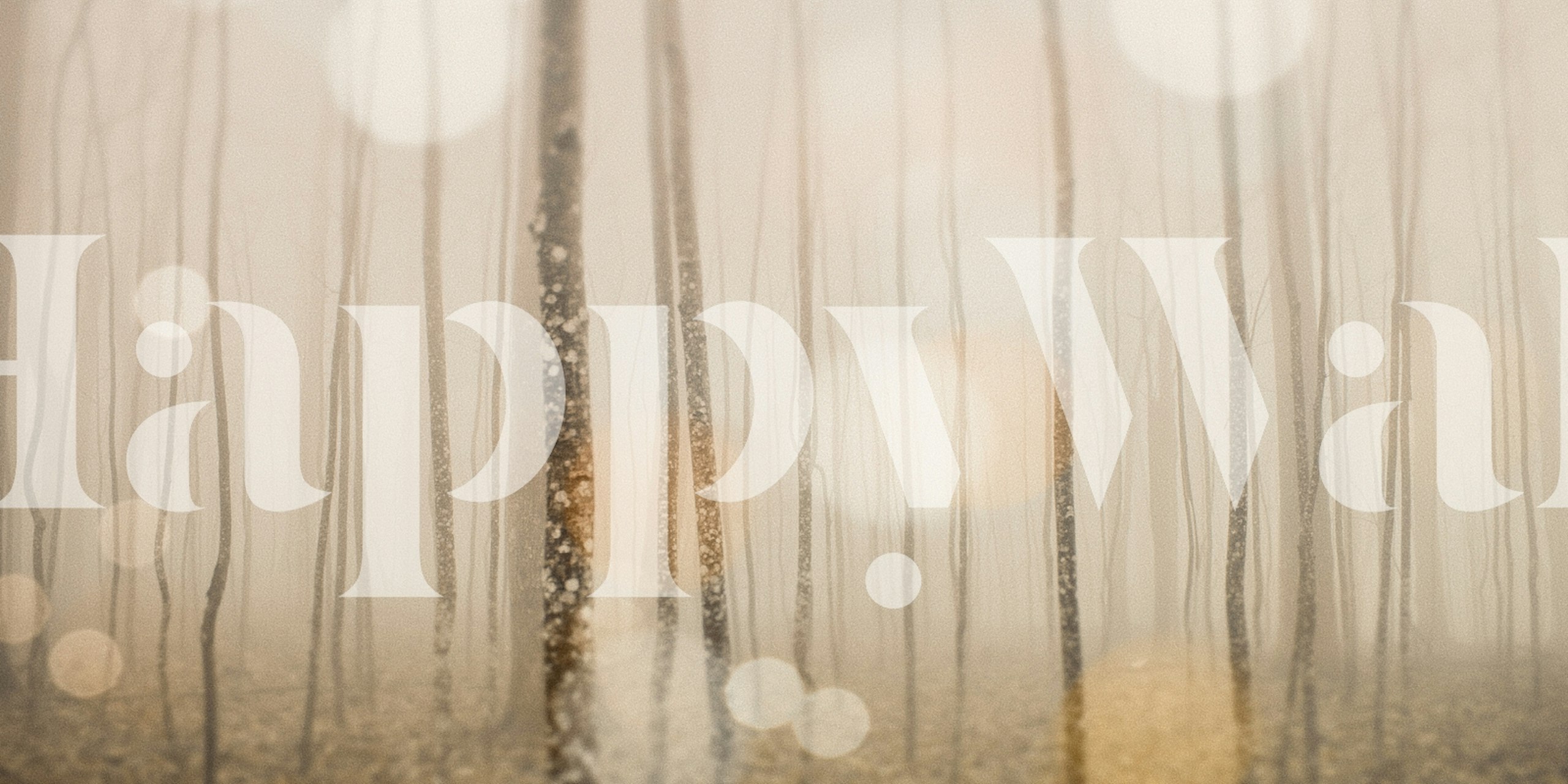 Forest with trees in soft fog and shimmering light wallpaper