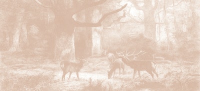 Mural