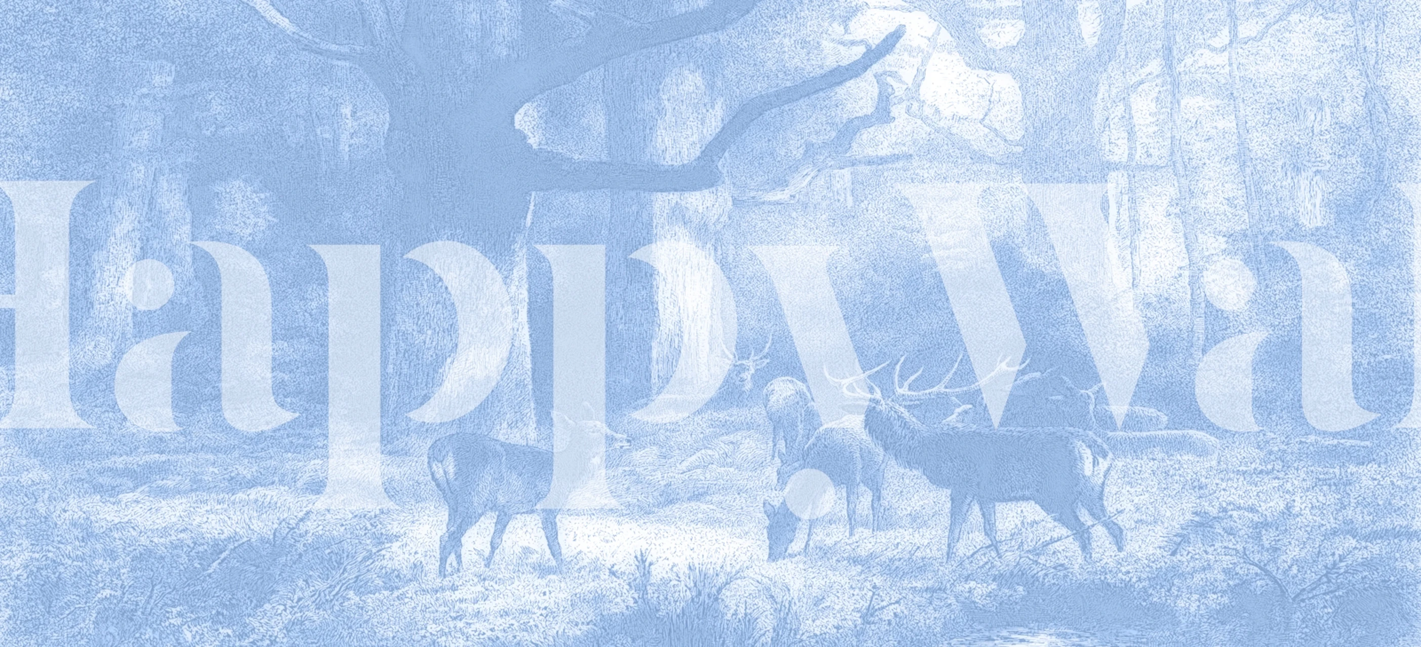 Tranquil Woodland Realm wallpaper in a room