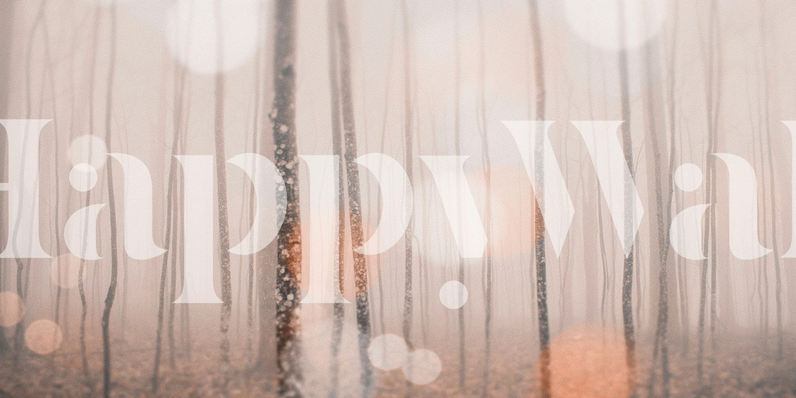 Misty forest with tall trees and soft bokeh lights wallpaper