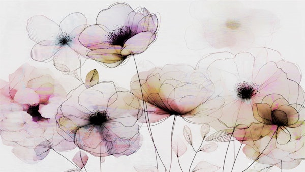 Translucent Flower Fantasy