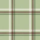 Winter Plaid Sage