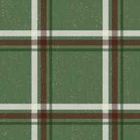 Winter Plaid Green tapete