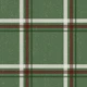 Winter Plaid Green