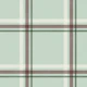 Winter Plaid Pastel Aqua