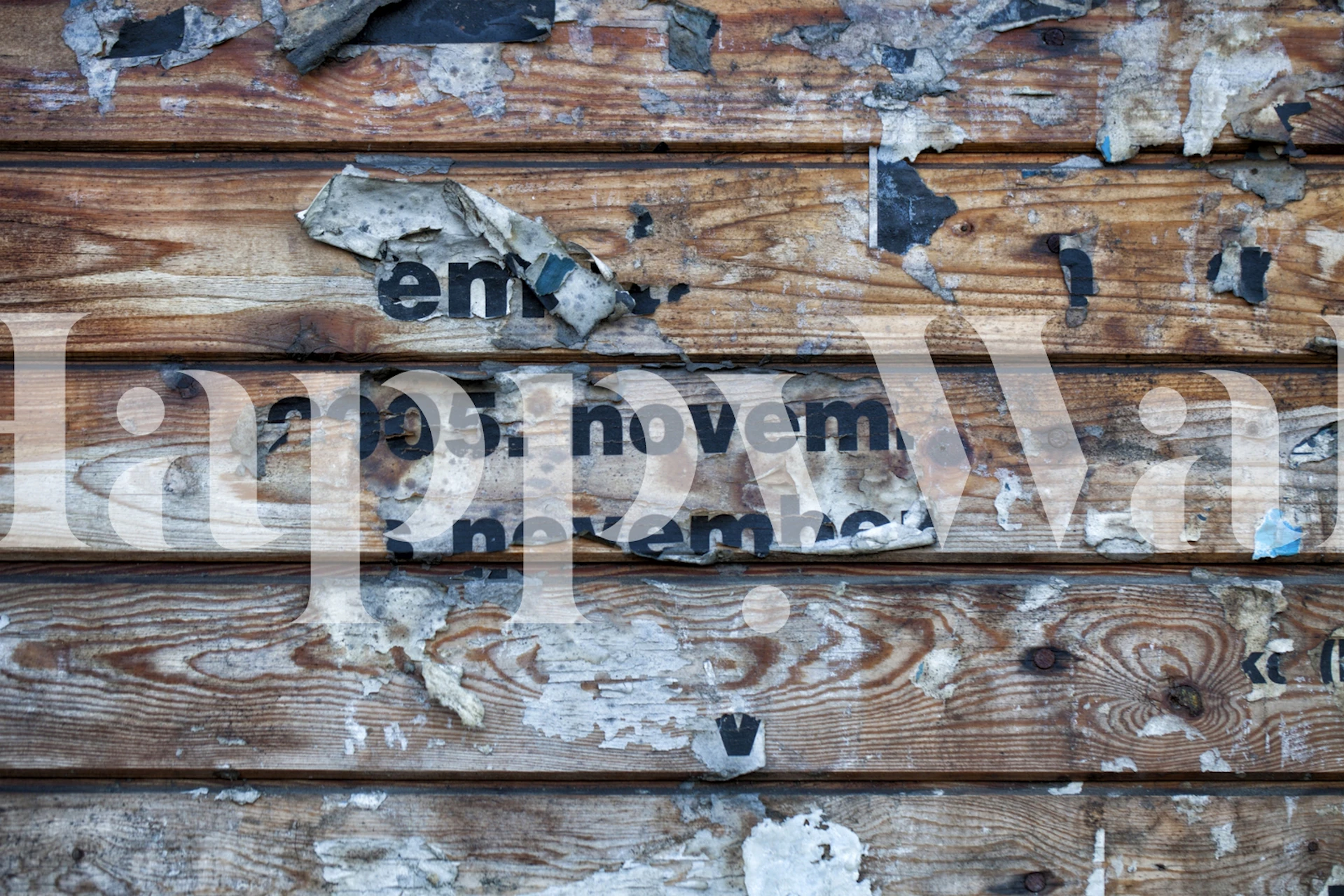 Grunge Wood wall mural with weathered wooden planks and faded typography