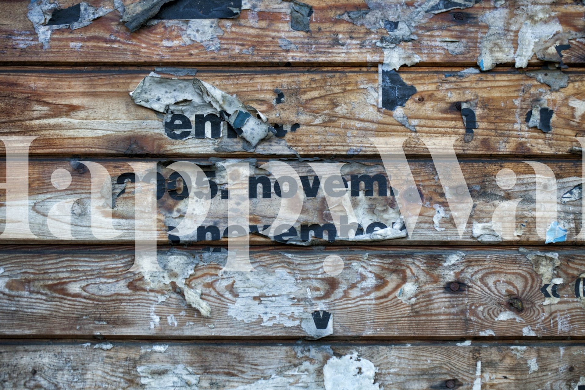 Grunge Wood wall mural with weathered wooden planks and faded typography
