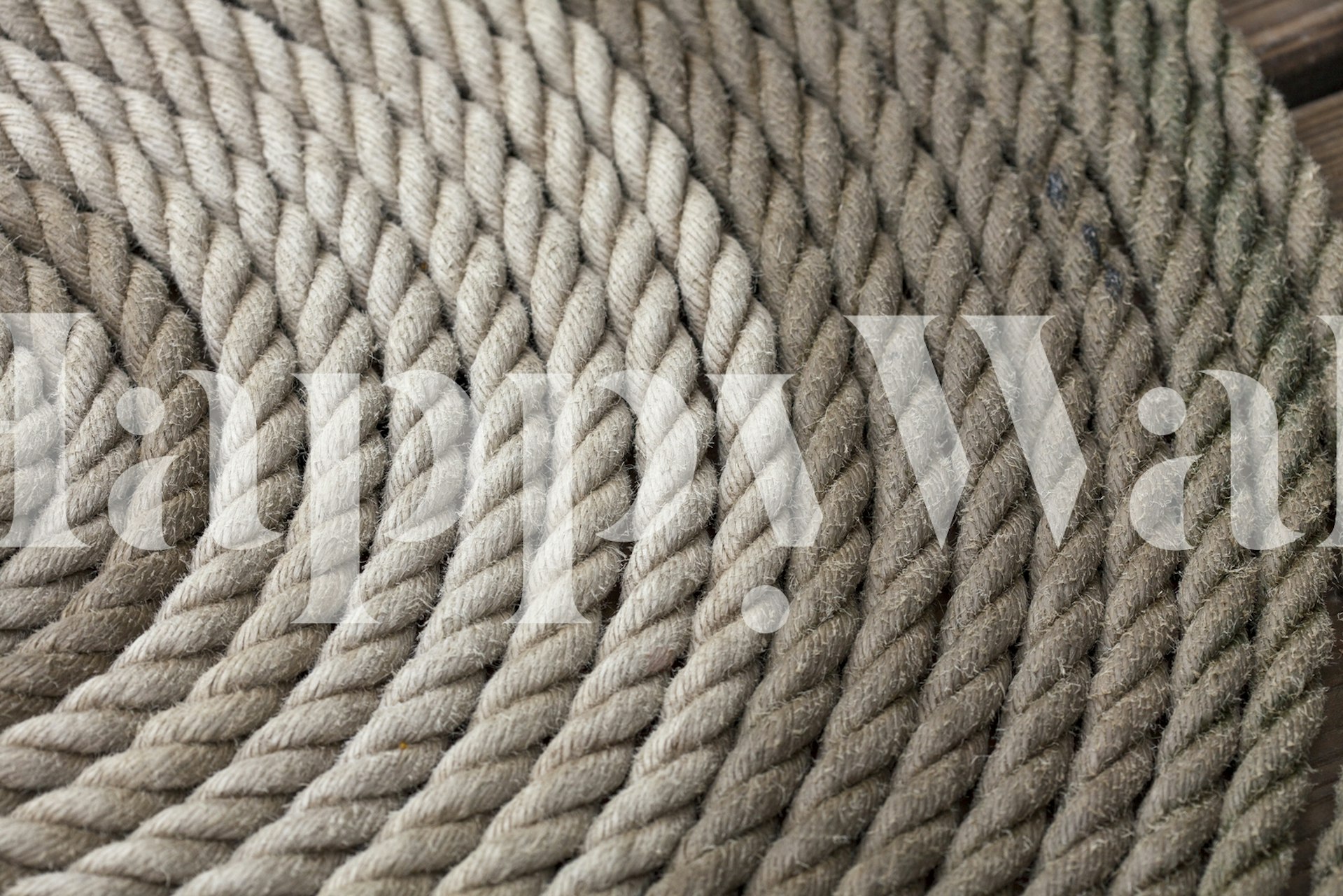 Nærbillede af oprullet skibsreb vægmaleri