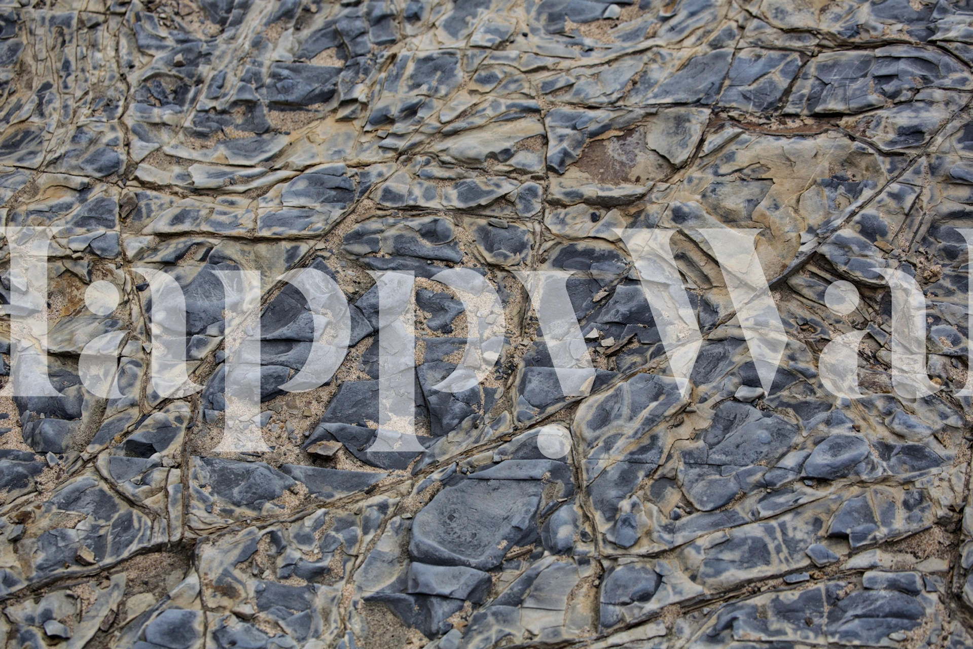 Close-up photo of a textured rock and sand wall mural