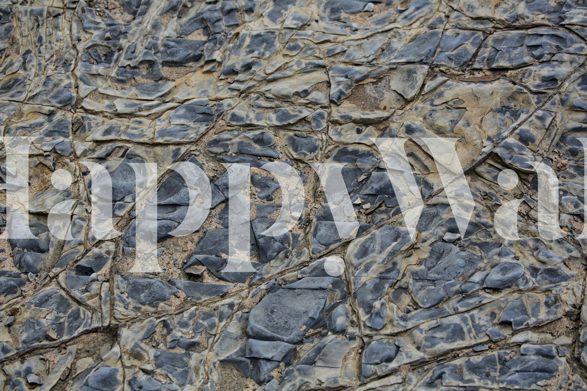 Close-up photo of a textured rock and sand wall mural