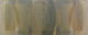 Artisanal Hue Bauhaus Canvas
