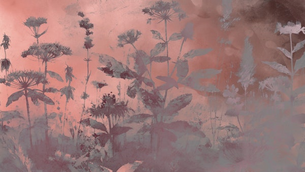 Mystic Florals