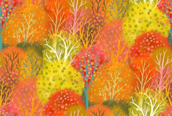 Indian Summer colorful fall