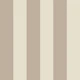 Neutral Stripe Glam 1