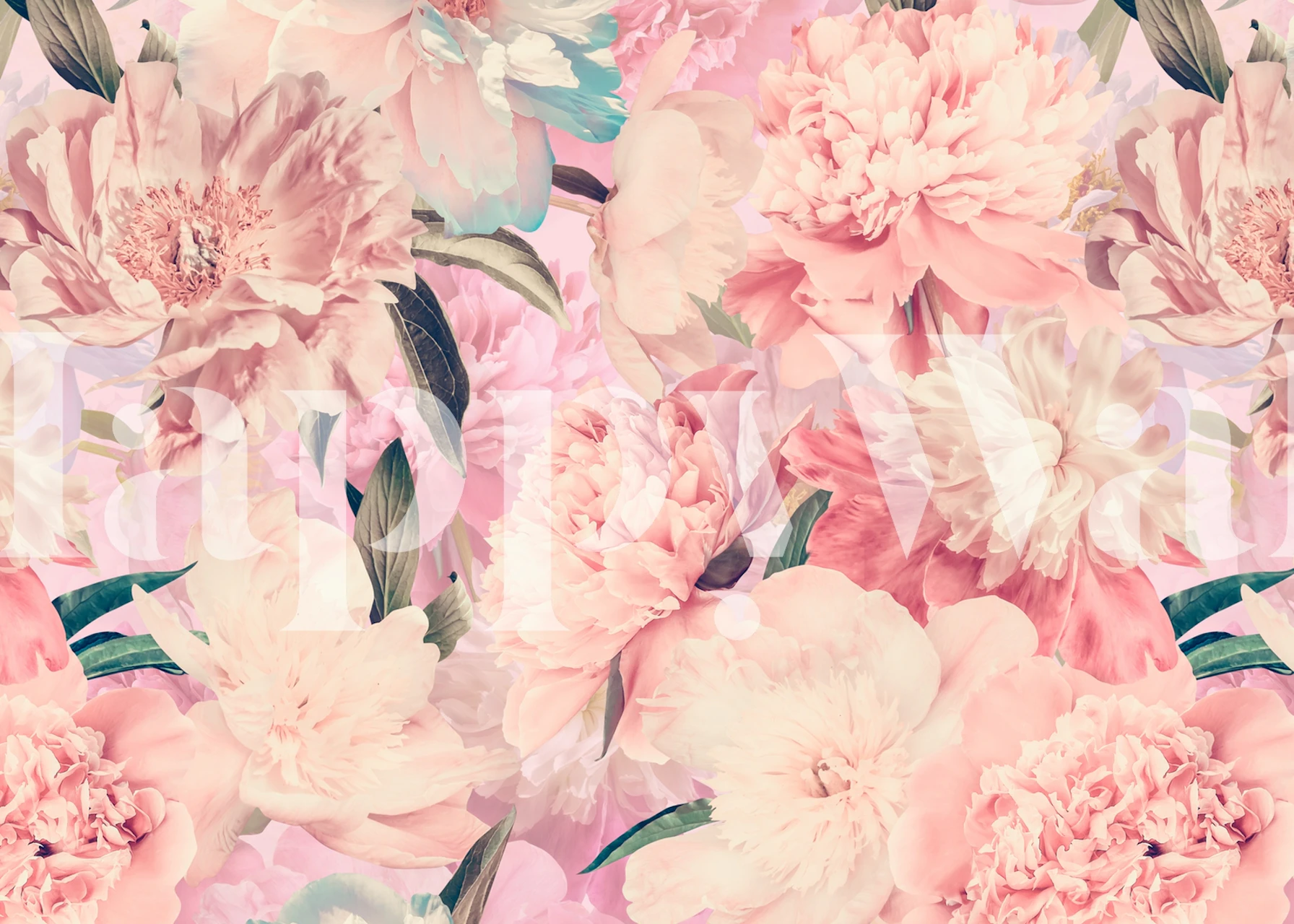 Baroque Peach Peony Garden behang in een kamer