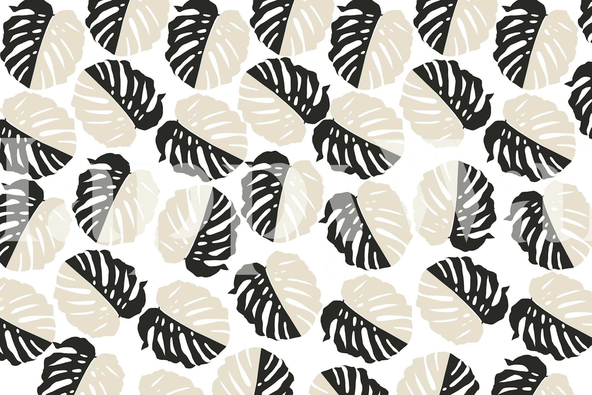Black and white Monstera leaf pattern wallpaper