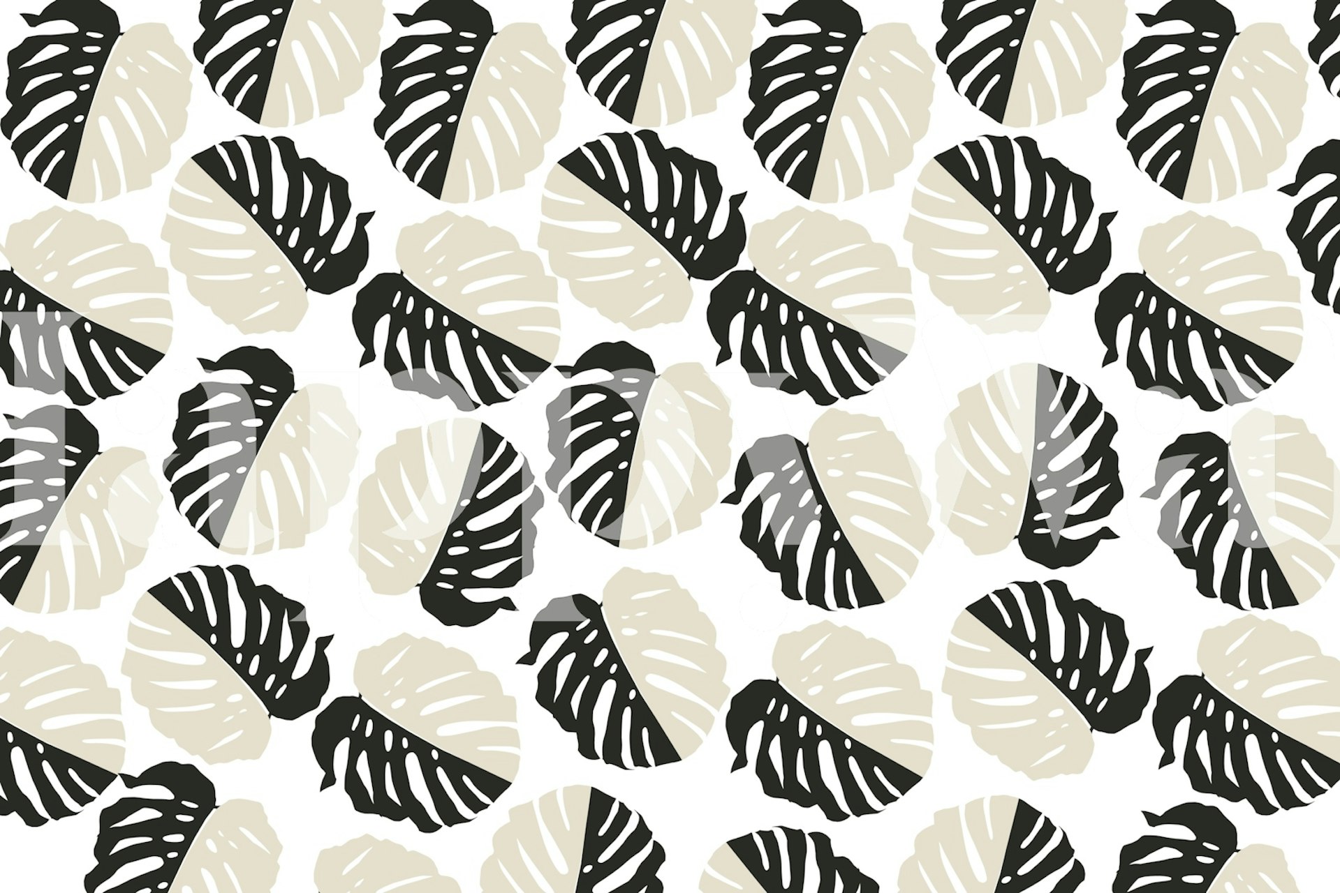 Black and white Monstera leaf pattern wallpaper