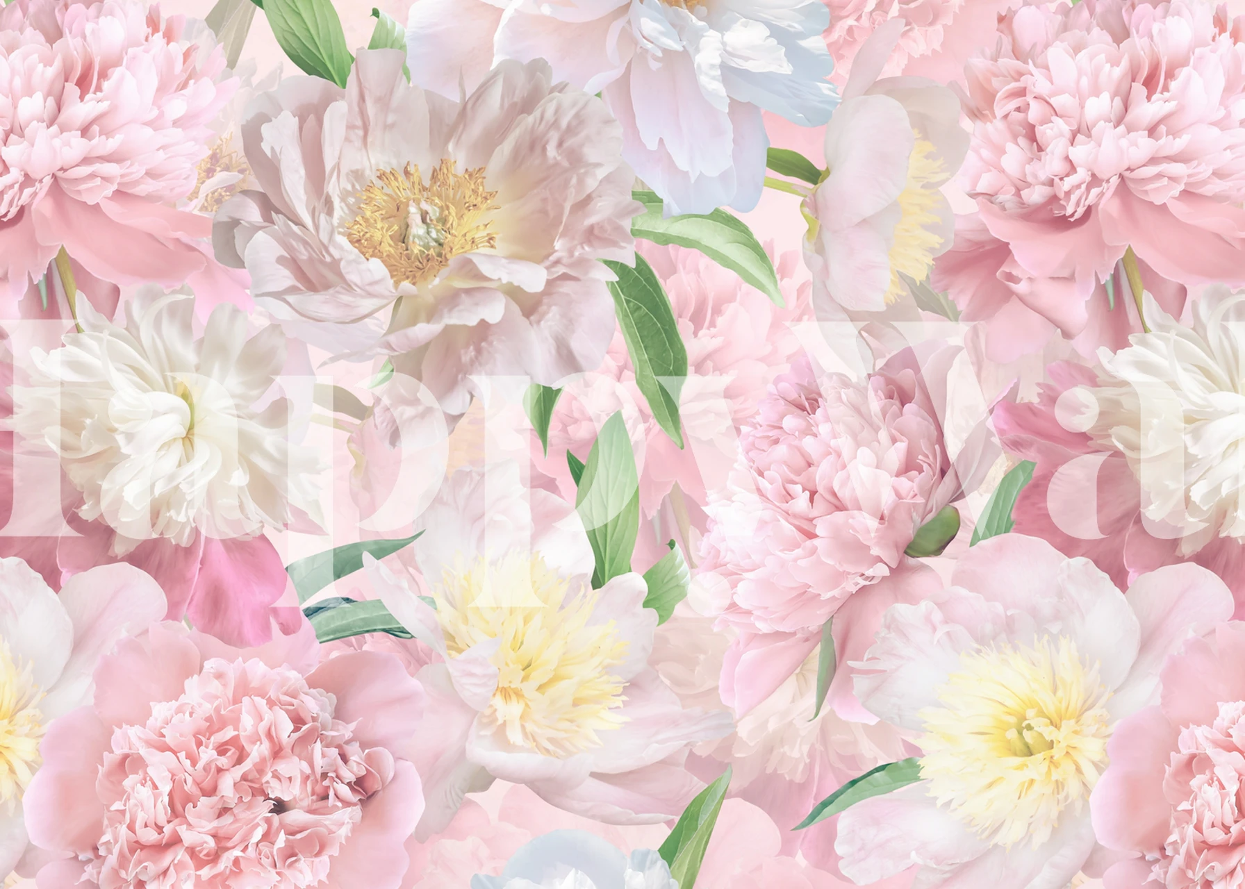 Elegante, errötende Pfingstrosen in einer Gartenwandmalerei im Barockstil