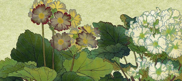 Blossoming Botanical Garden