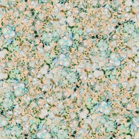 Vincent Van Gogh Roses in Pale Peach tapete