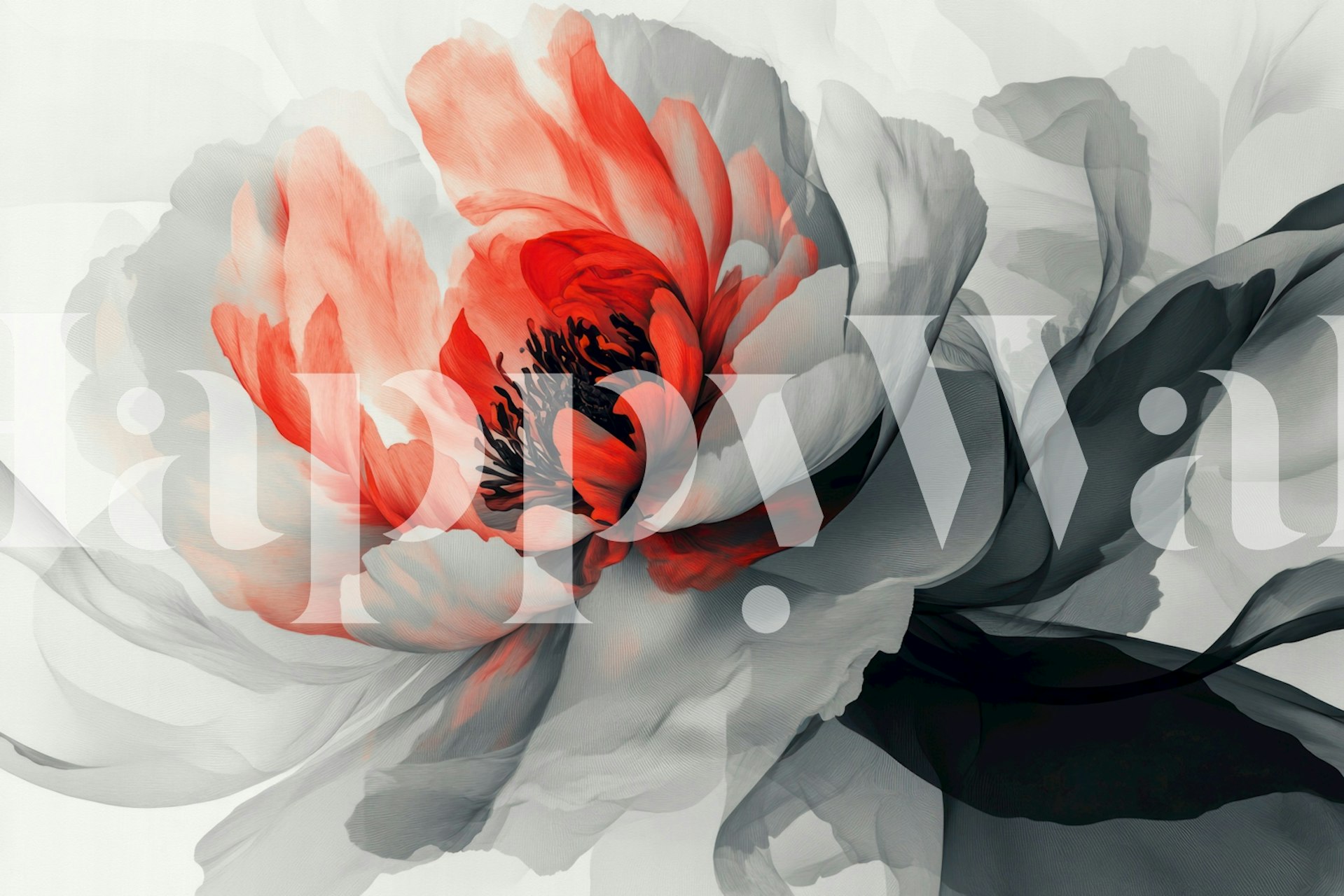 Monochrome Bloom Essence wallpaper in a room