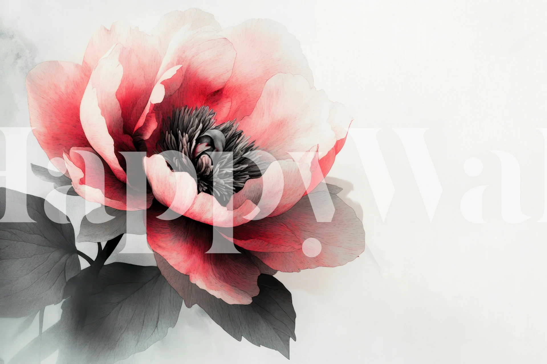 Pink peony flower with black leaves on a soft white background wallpaper