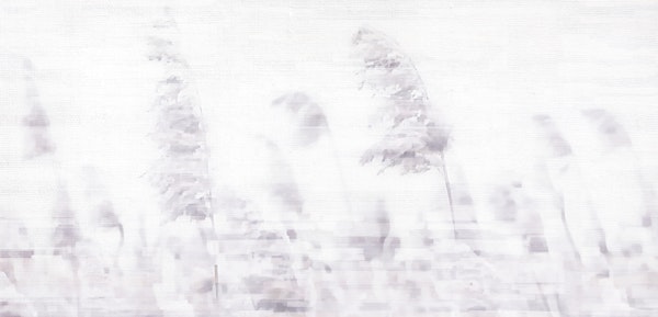 Misty Meadow Dreamscape