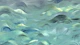Ethereal Ocean Currents