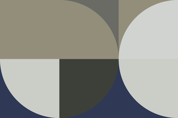 Neutral Tones Balance