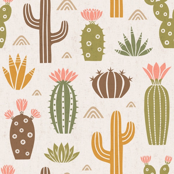 Western cactus garden sand