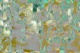 Emerald and Gold Dreams