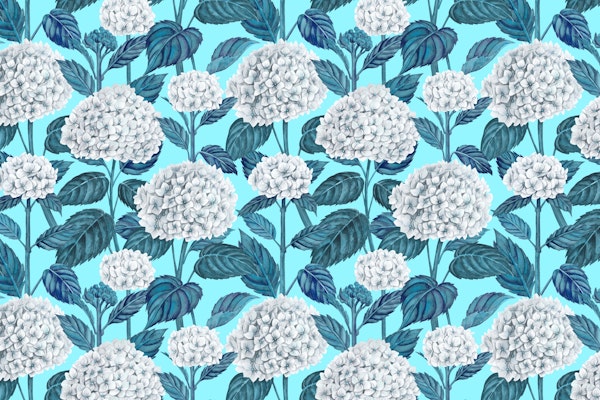 White hydrangea watercolor