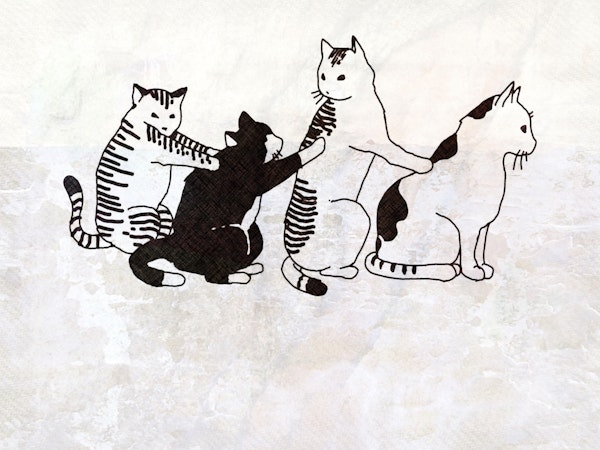 Bathing Japanese Cats