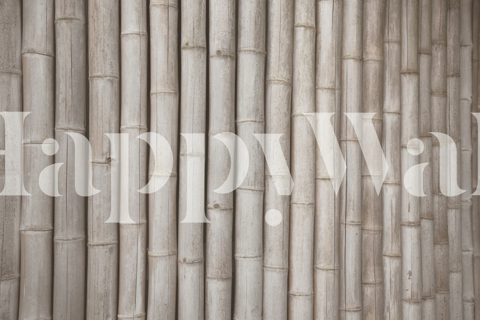 Zen Bamboo Bliss 1 wallpaper in a room