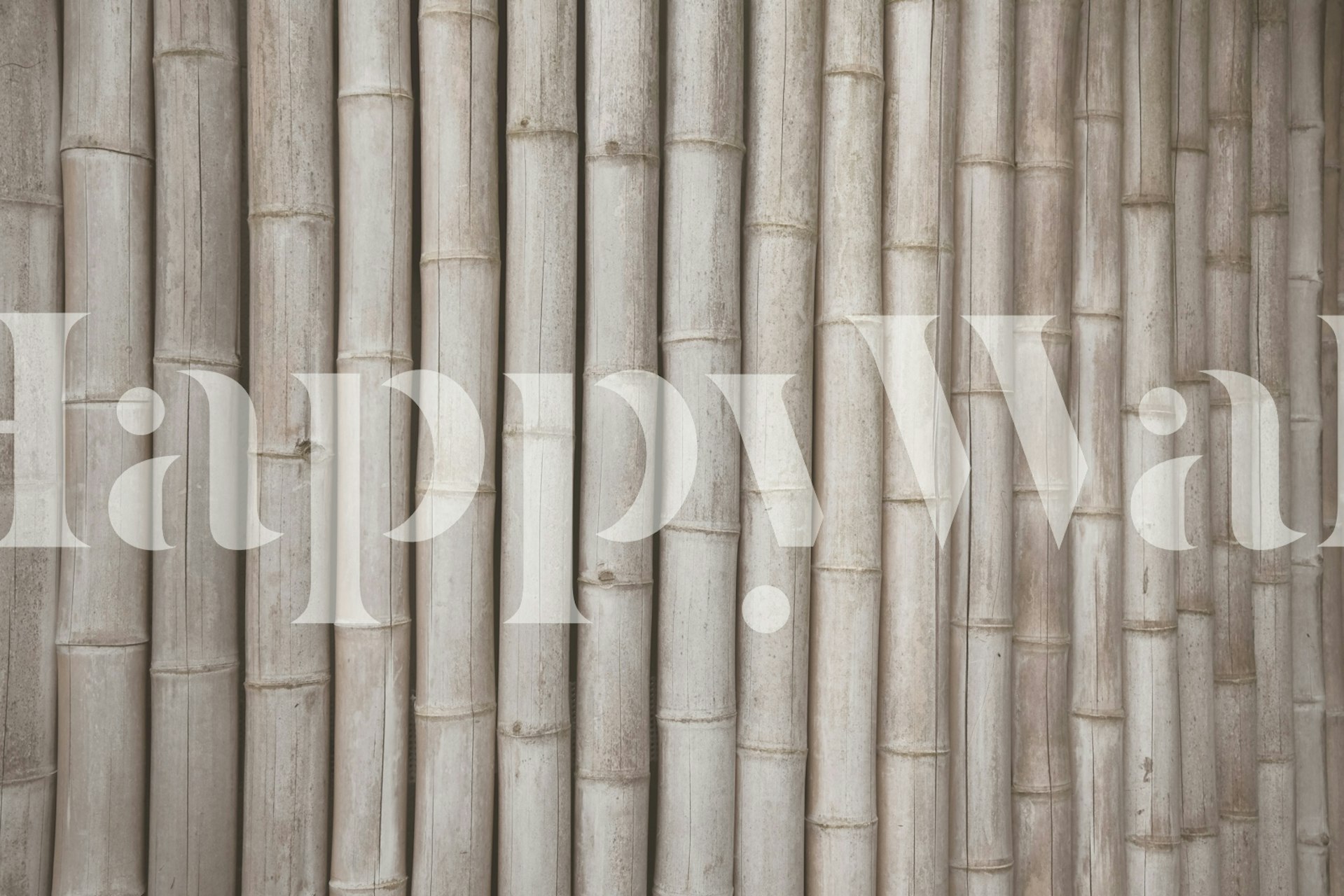 Zen Bamboo Bliss 1 tapetti huoneessa