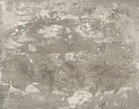 slaked lime neutral tapete