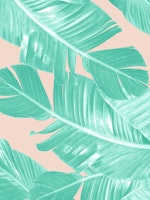 Summer Banana Leaves 1 behang