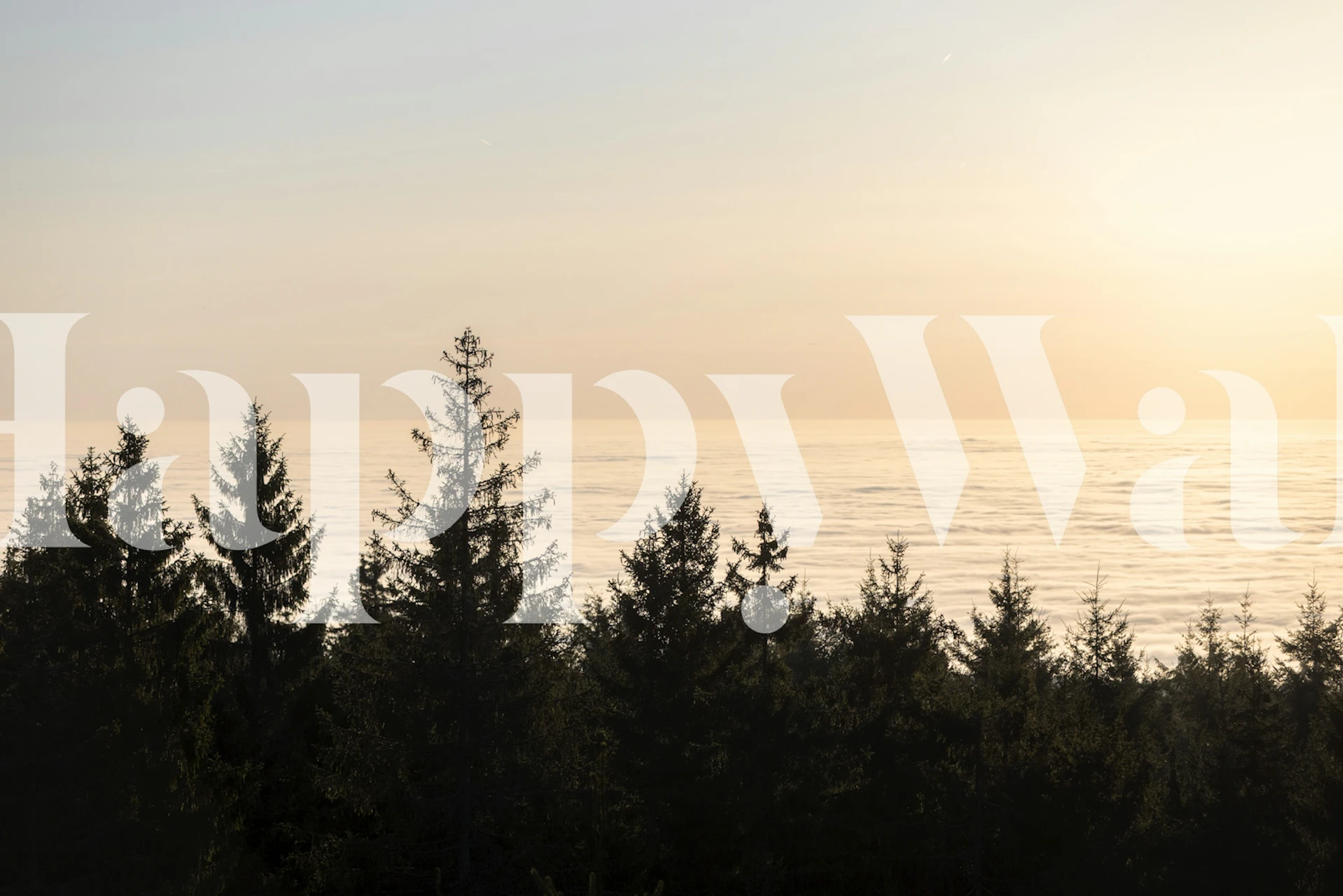 Tapeta Golden Hour 2 w aranżacji pokoju