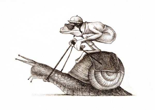 Snail Racing