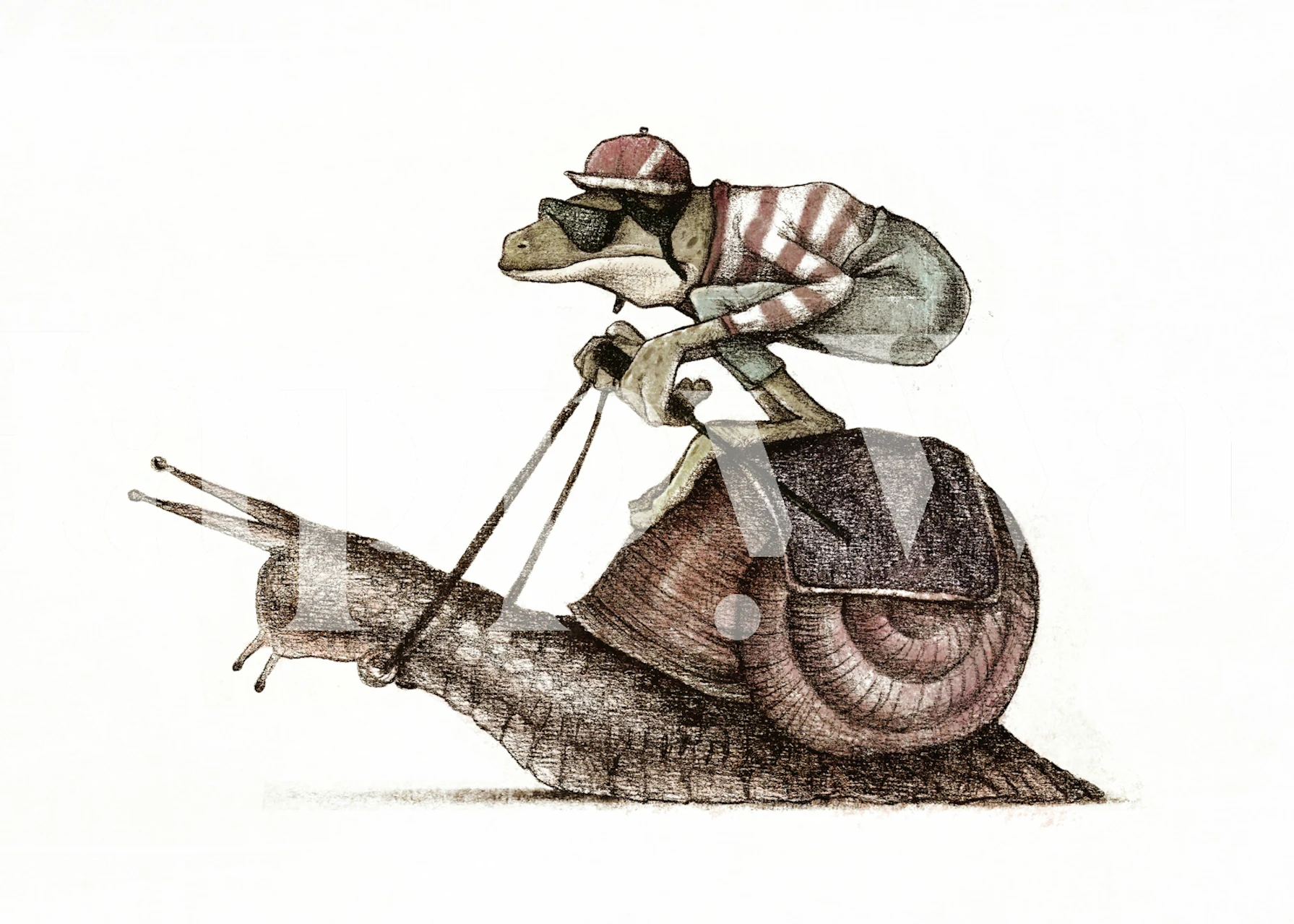 Tapeta Snail Racing II u sobi