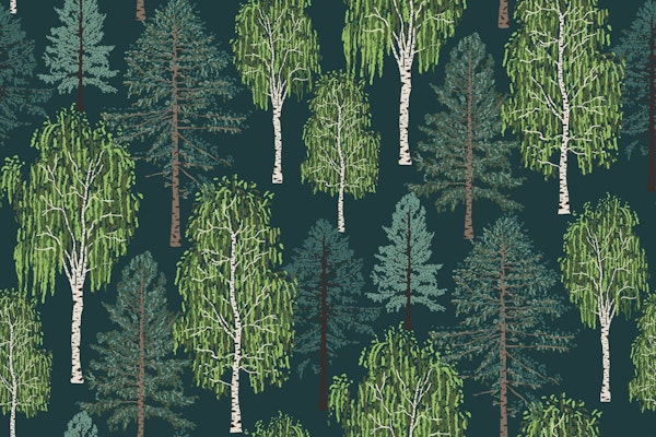 Scandinavian boreal forest trees