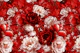 Red Floral Baroque Elegance