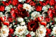 Opulent Baroque Petal Extravaganza