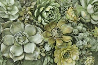 Green Botanical Succulents Vertical Garden tapetit