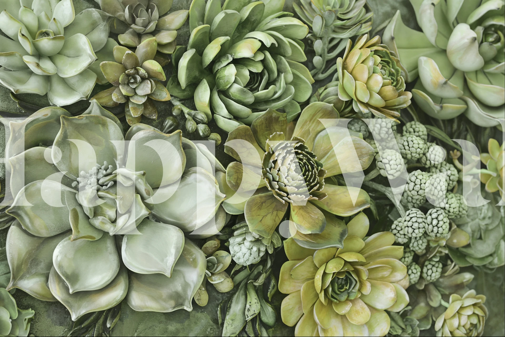 Green Botanical Succulents wallpaper in a room
