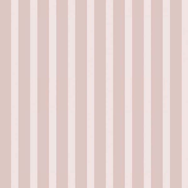 Coquette Chic Pink Lines